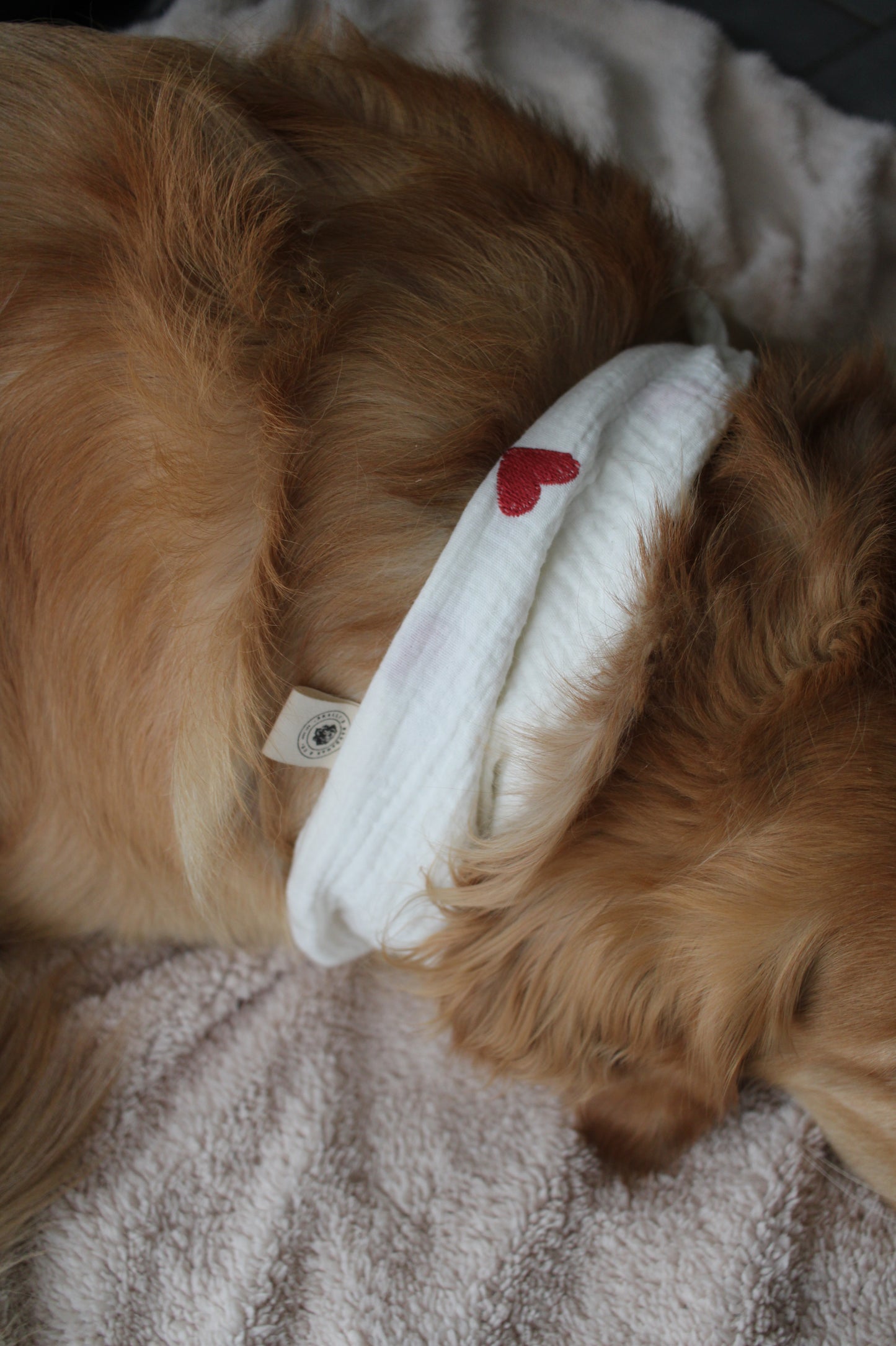 Musselin Hundehalstuch Herzen