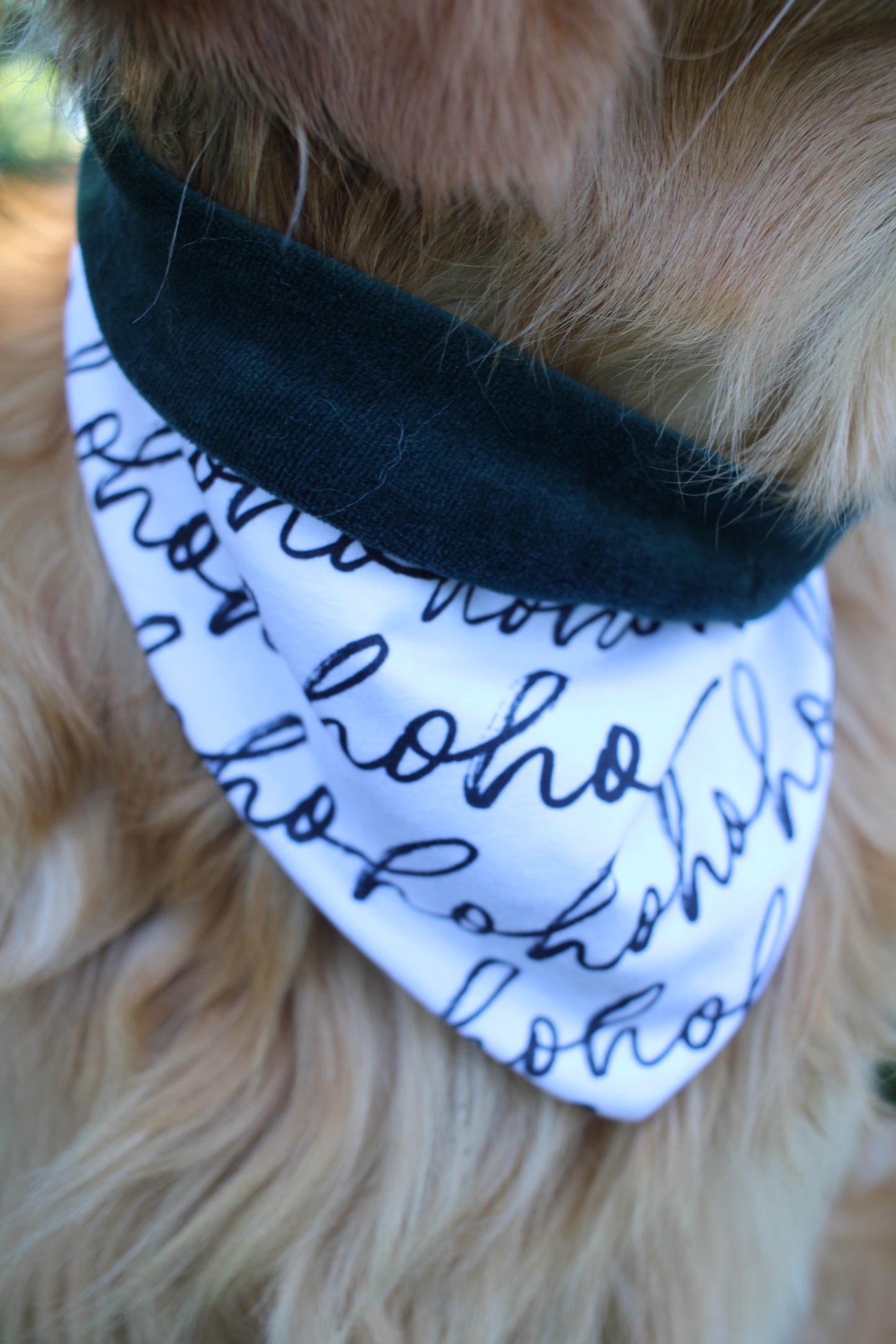 Nicki ; Nickihalstuch ; Hundehalstuch ; Halstuch ; Halstuch für Hunde ; bordeaux ; grün ; Partnerlook ; Pawtner ; Stirnband ; Haarband