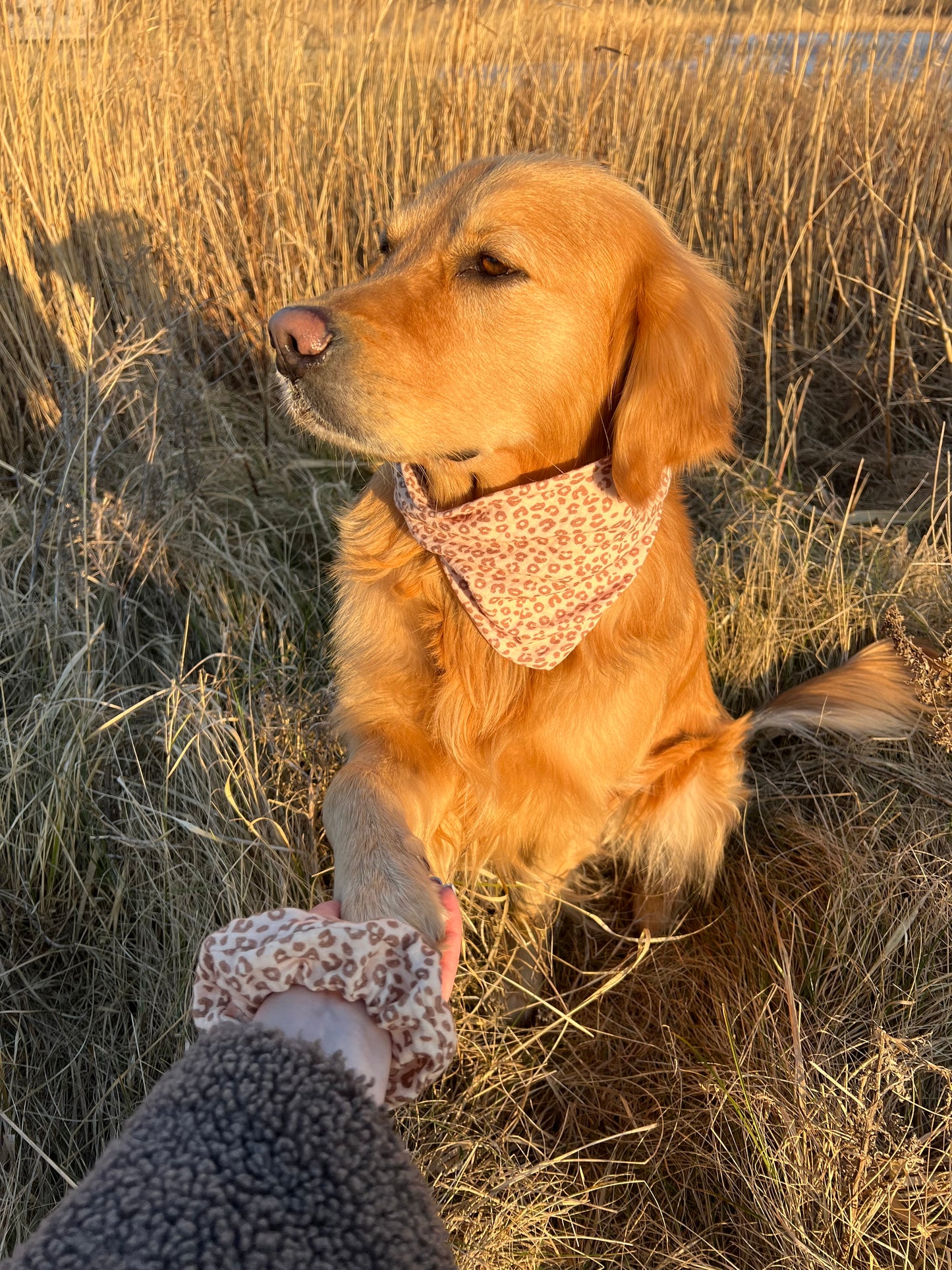 Musselin ; Scrunchie ; Leo ; Leo-Optik ; Musselinhalstuch ; Halstuch ; Bandana ; Hundehalstuch ; Scrunchie ; Partnerlook