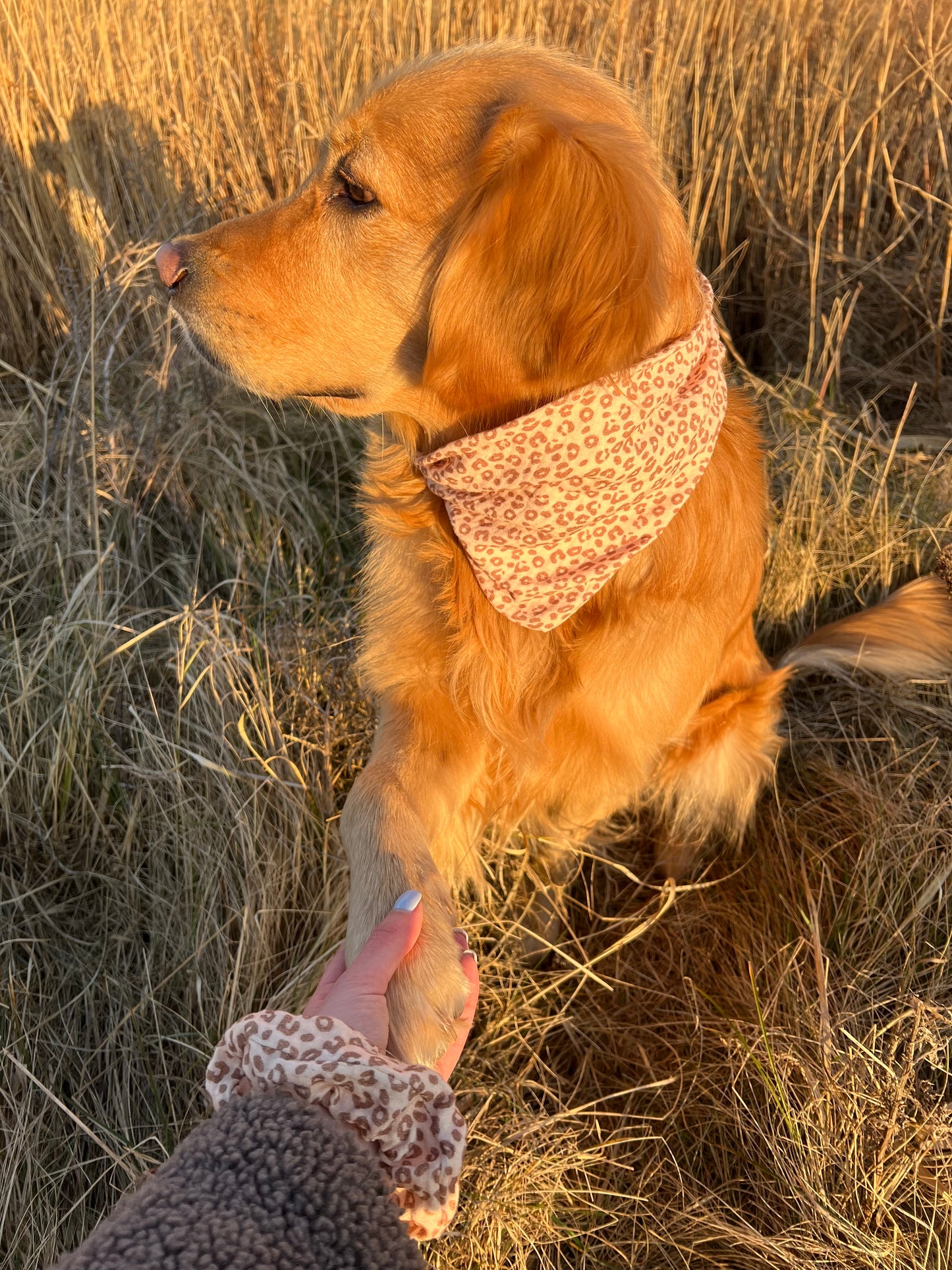 Musselin ; Scrunchie ; Leo ; Leo-Optik ; Musselinhalstuch ; Halstuch ; Bandana ; Hundehalstuch ; Scrunchie ; Partnerlook