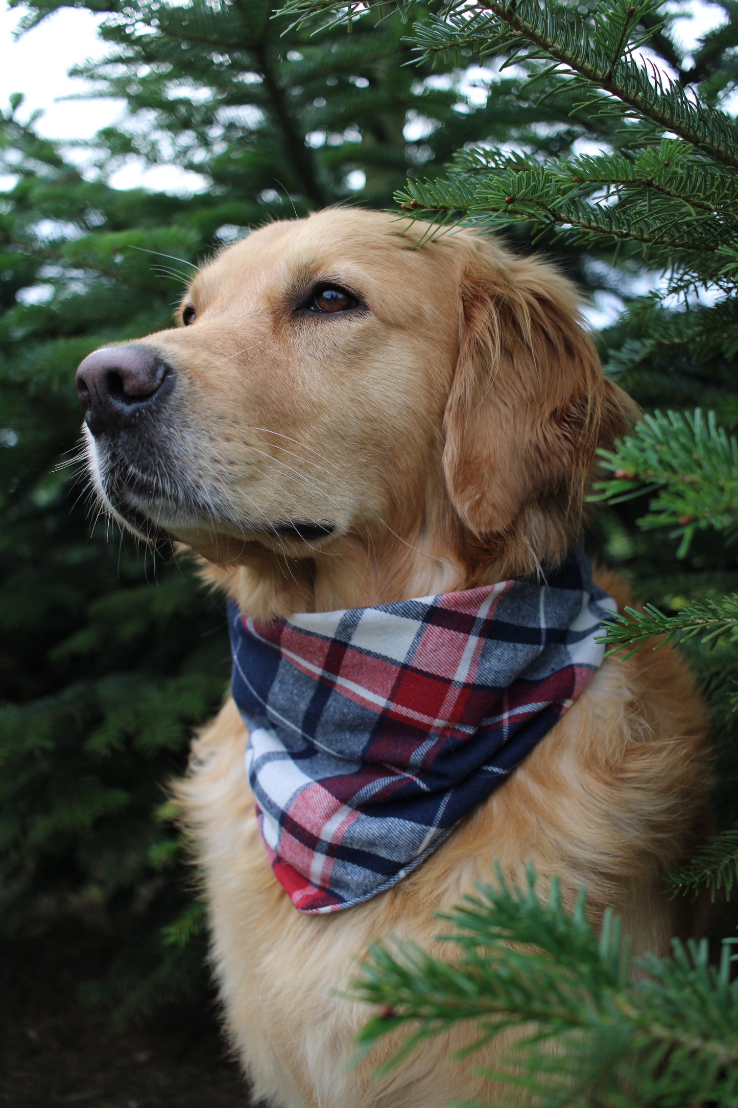 Flanellhalstuch Karos