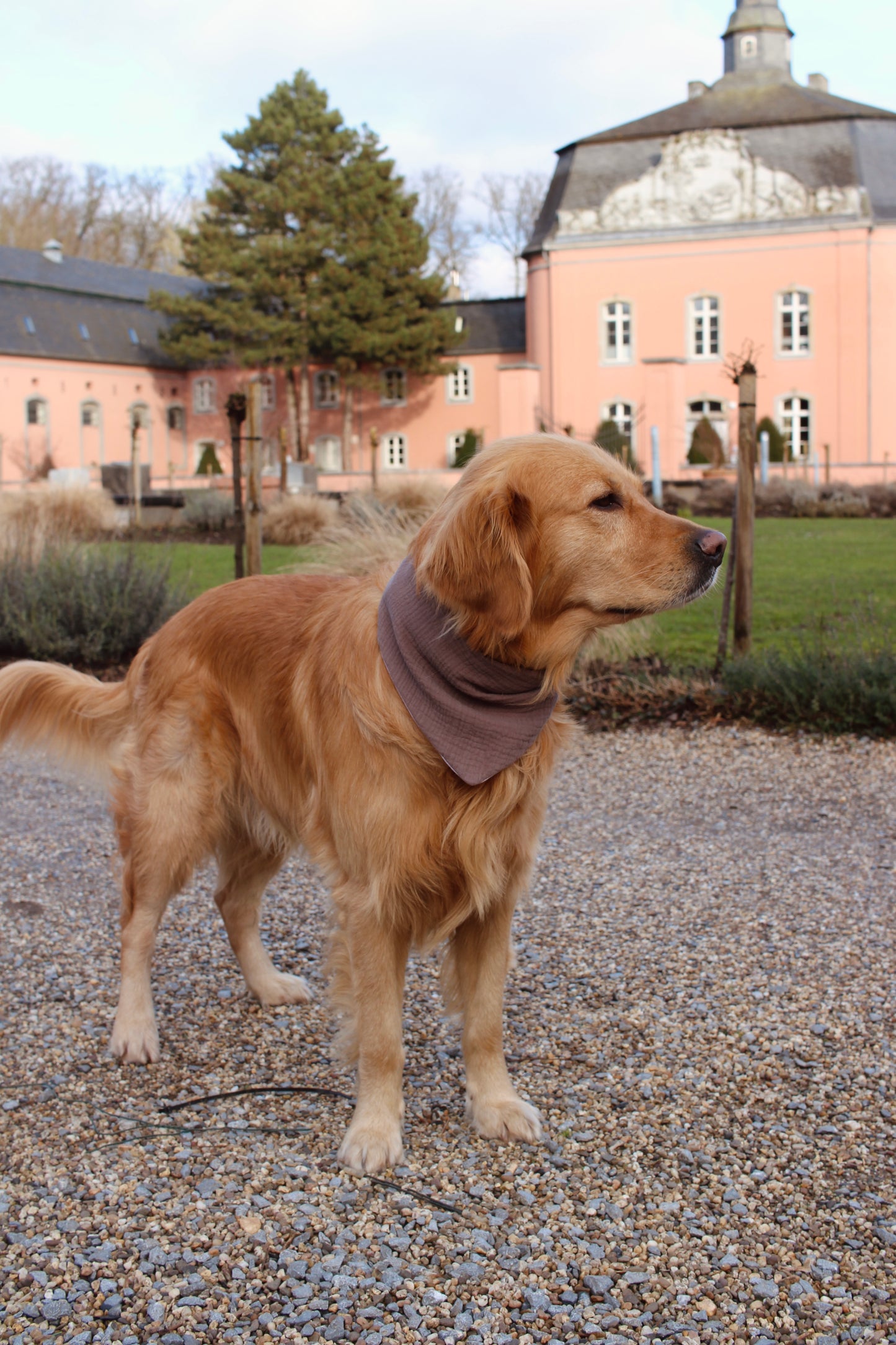 Hundehalstuch ; Musselinhalstuch ; Halstuch für Hunde ; Musselin ; Valentinstag ; Herzchen ; Herz ; rosa ; personalisiert ; personalisierbar