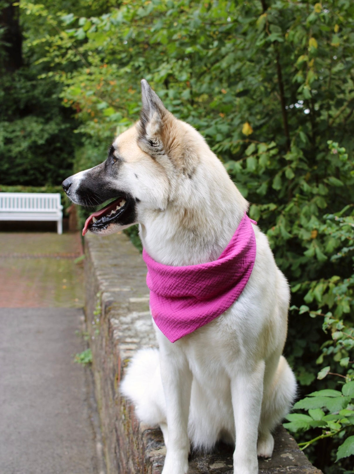 Hundehalstuch Musselin pink