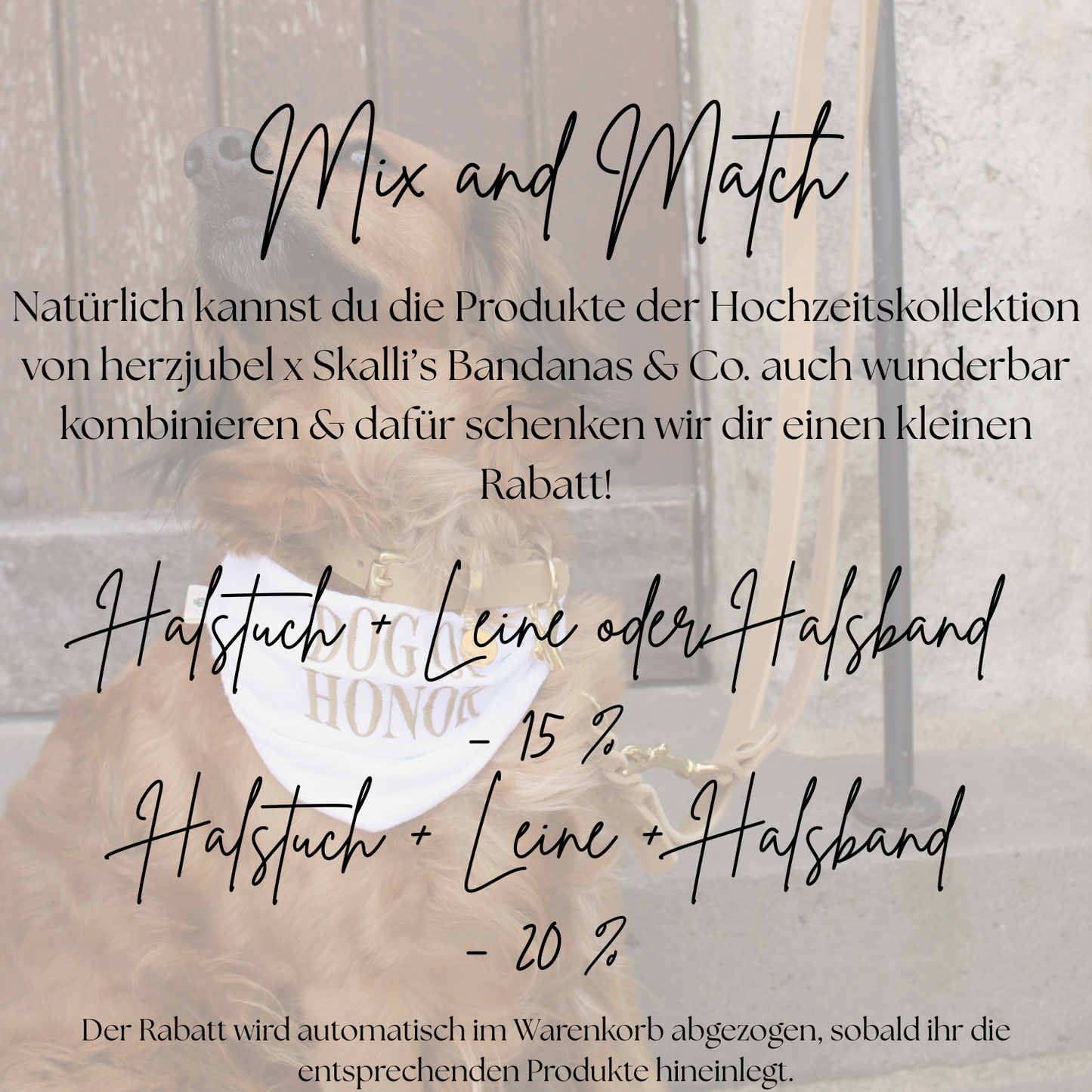 Hond bandana bruiloft