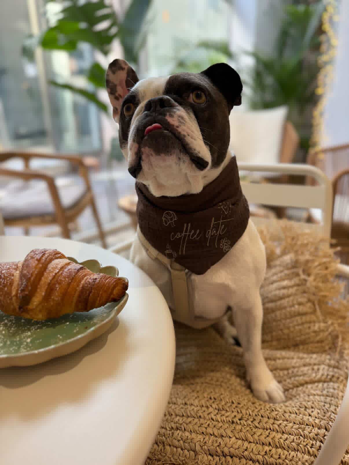 Le petit Croissant Halstuch