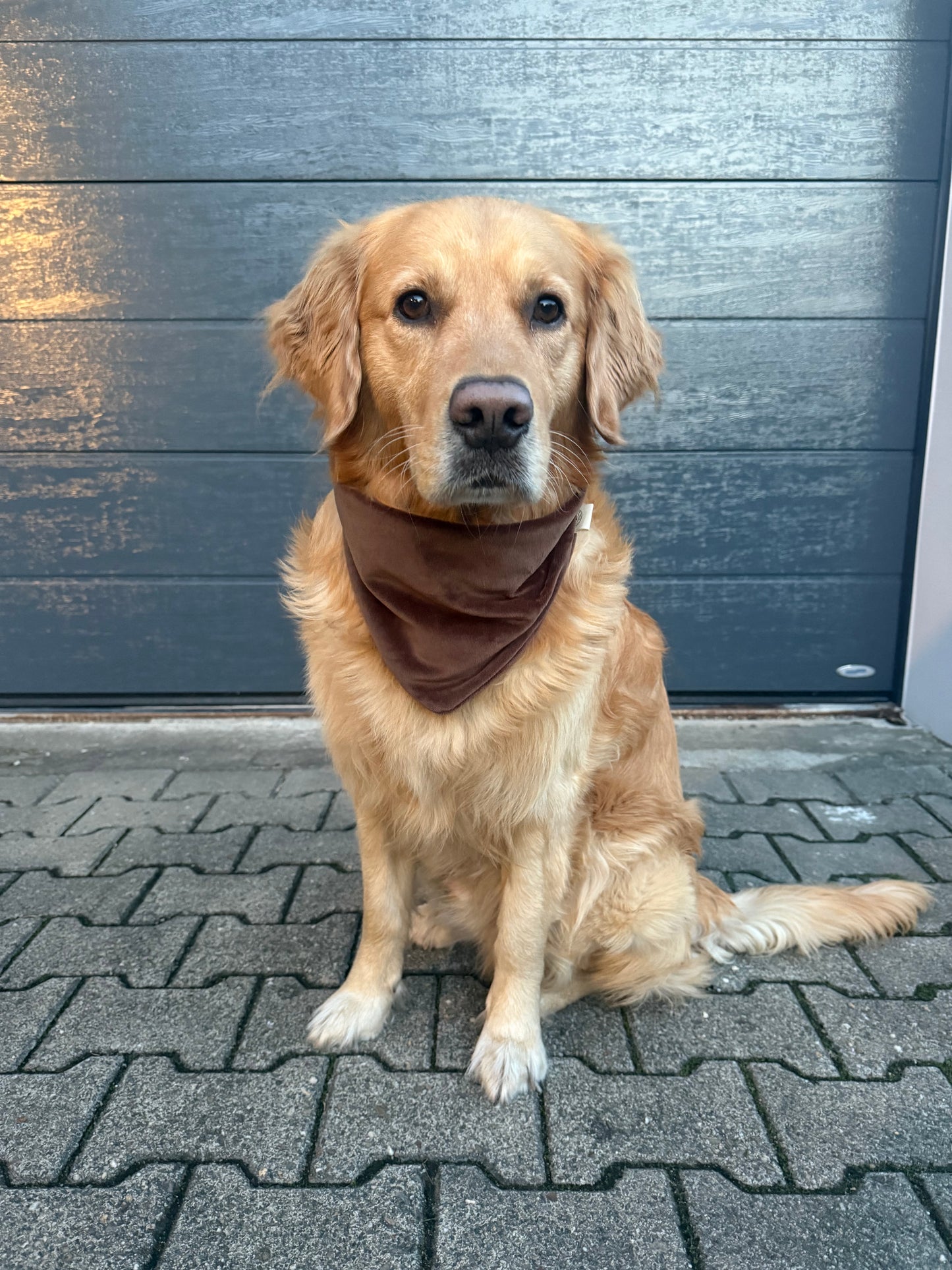 Nicki Halstuch Schokobraun