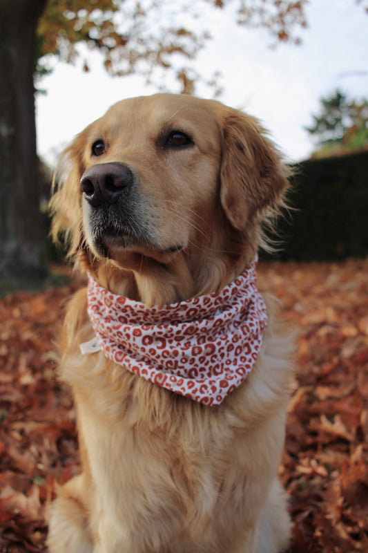Mousseline hondenbandana bloemen roestrood