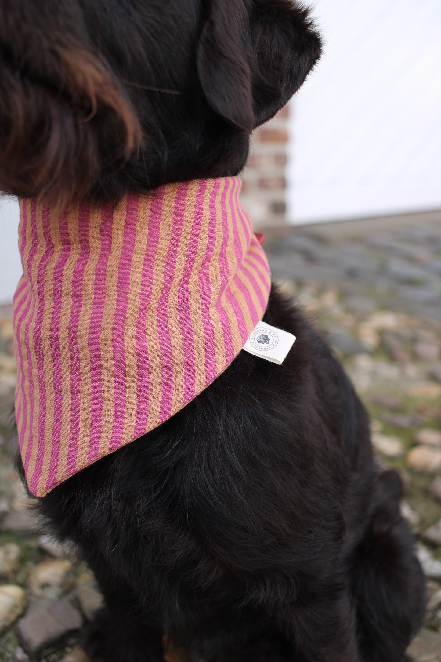 Musselin Hundehalstuch Pinkish Stripes