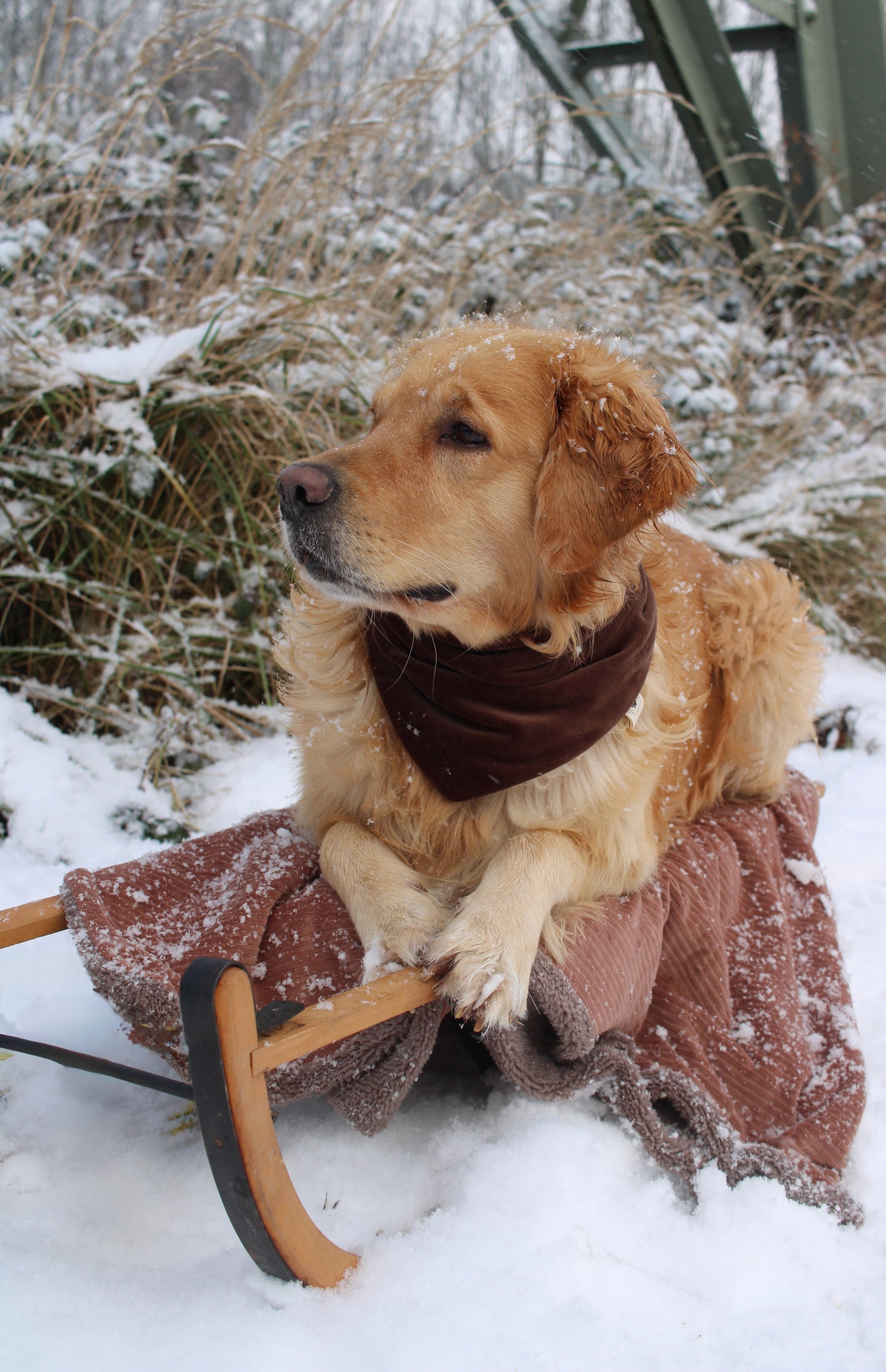 Nicki Halstuch Schokobraun