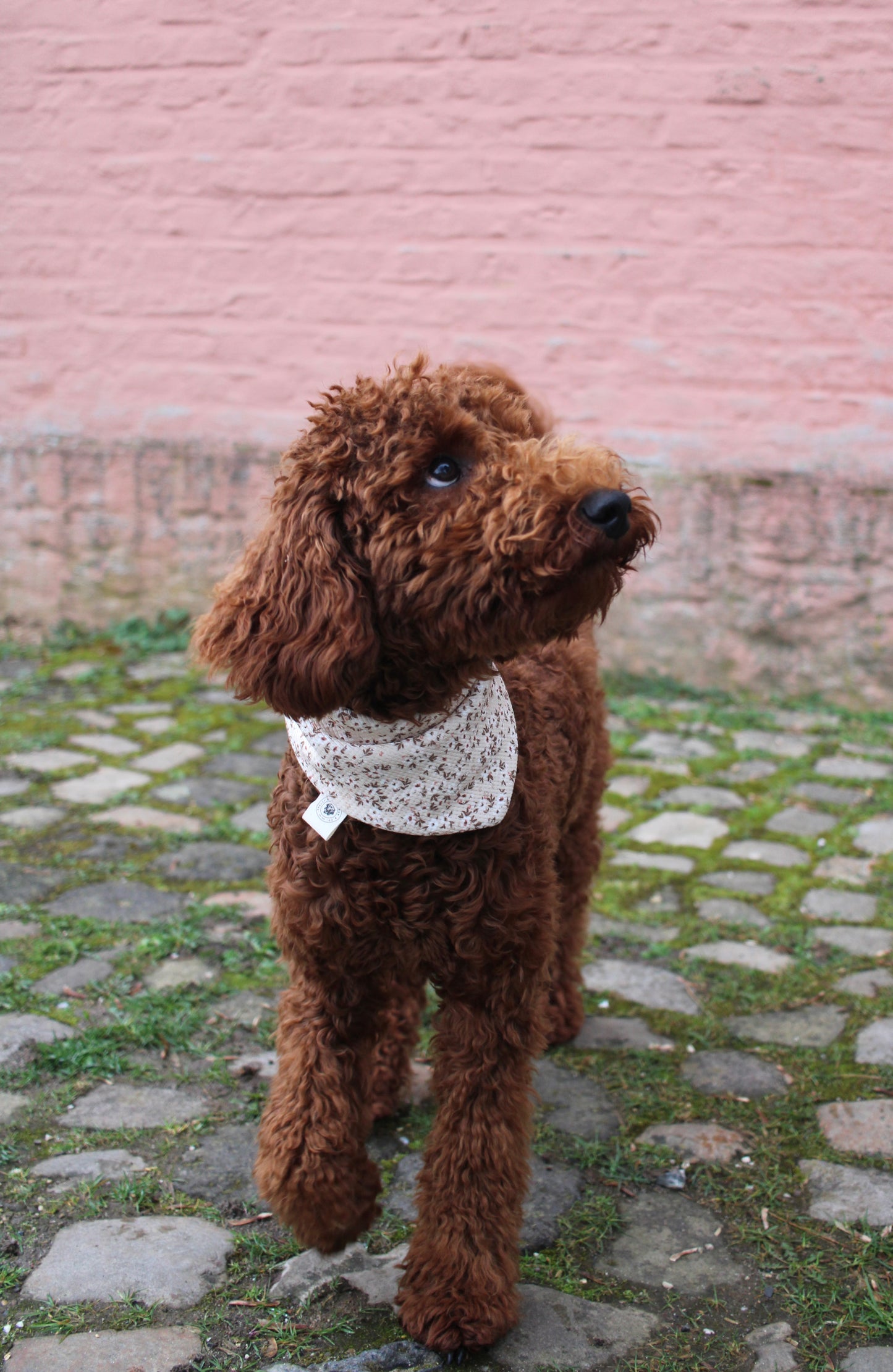 Waffelhalstuch Beige Flowerdream