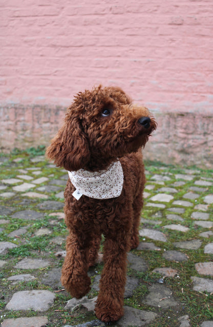 Waffelhalstuch Beige Flowerdream