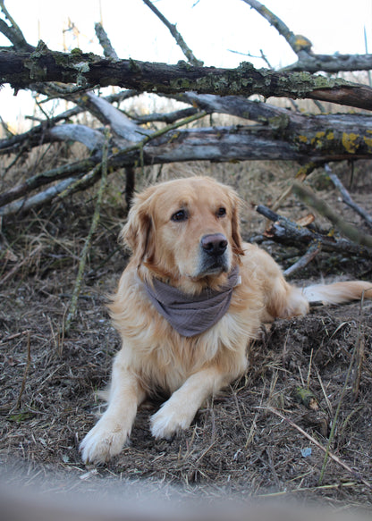 Musselin Halstuch braungrau