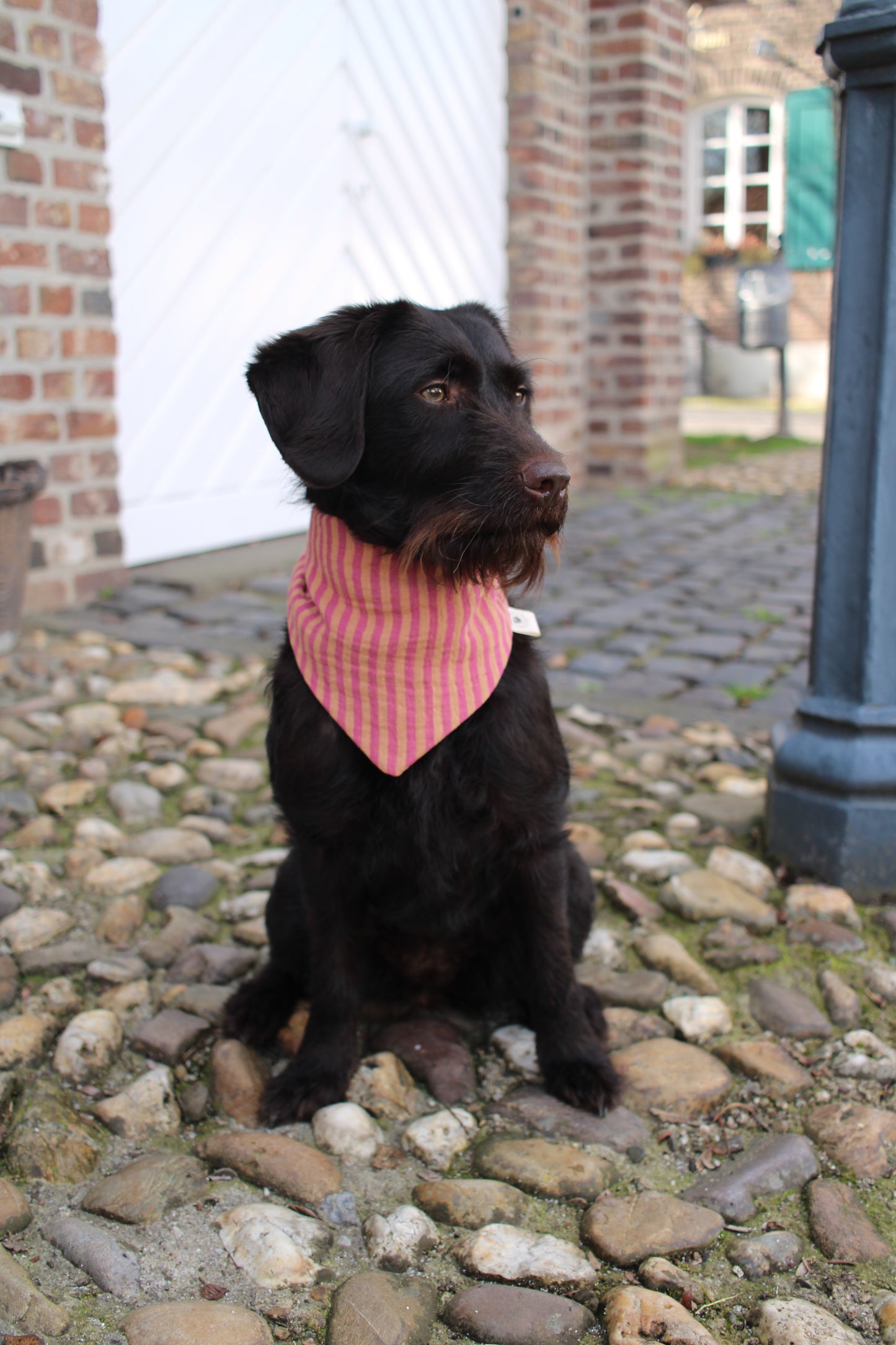 Musselin Hundehalstuch Pinkish Stripes