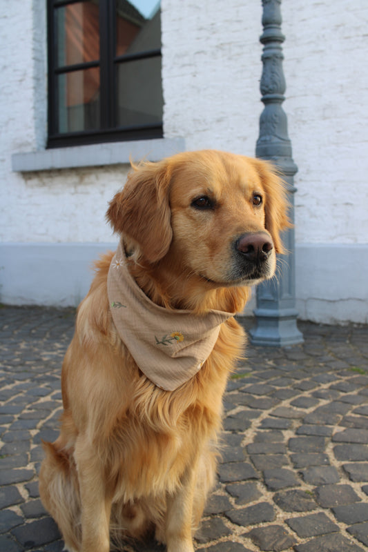 Musselin Hundehalstuch Flowers