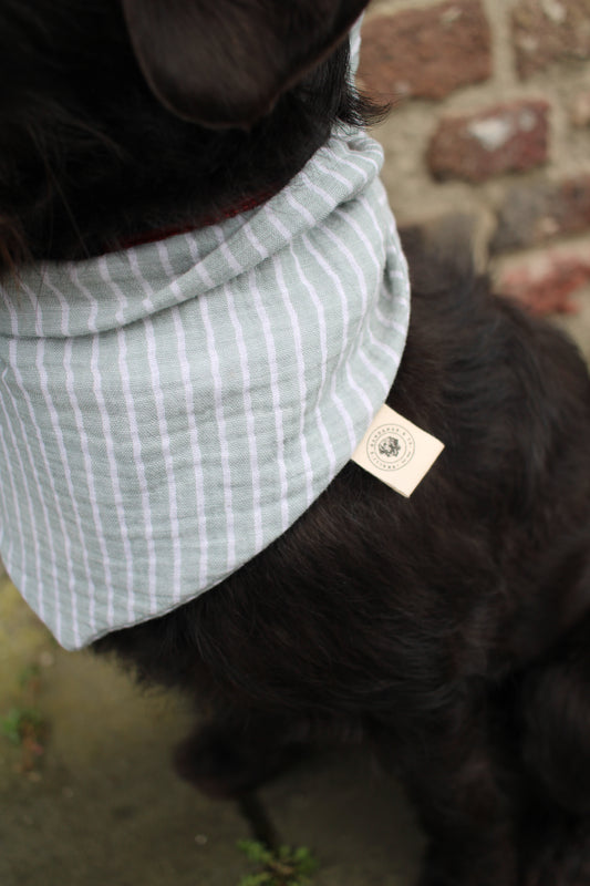 Musselin Hundehalstuch Sage Stripes