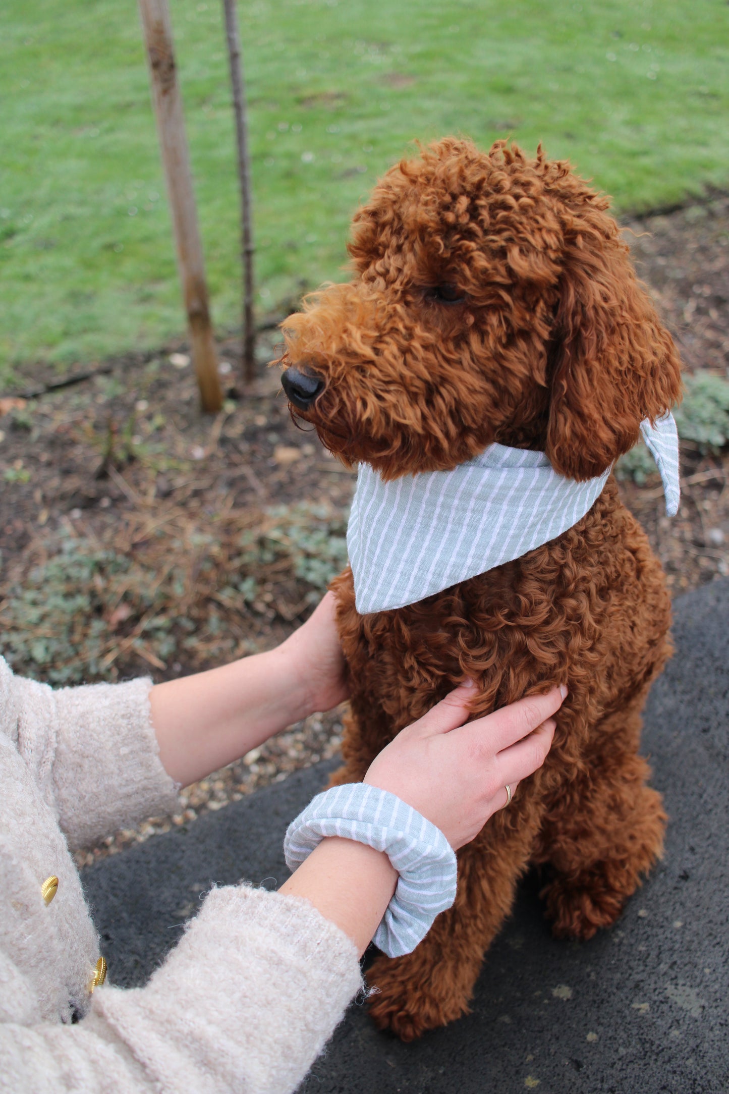 Musselin Hundehalstuch Sage Stripes