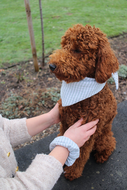 Musselin Hundehalstuch Sage Stripes