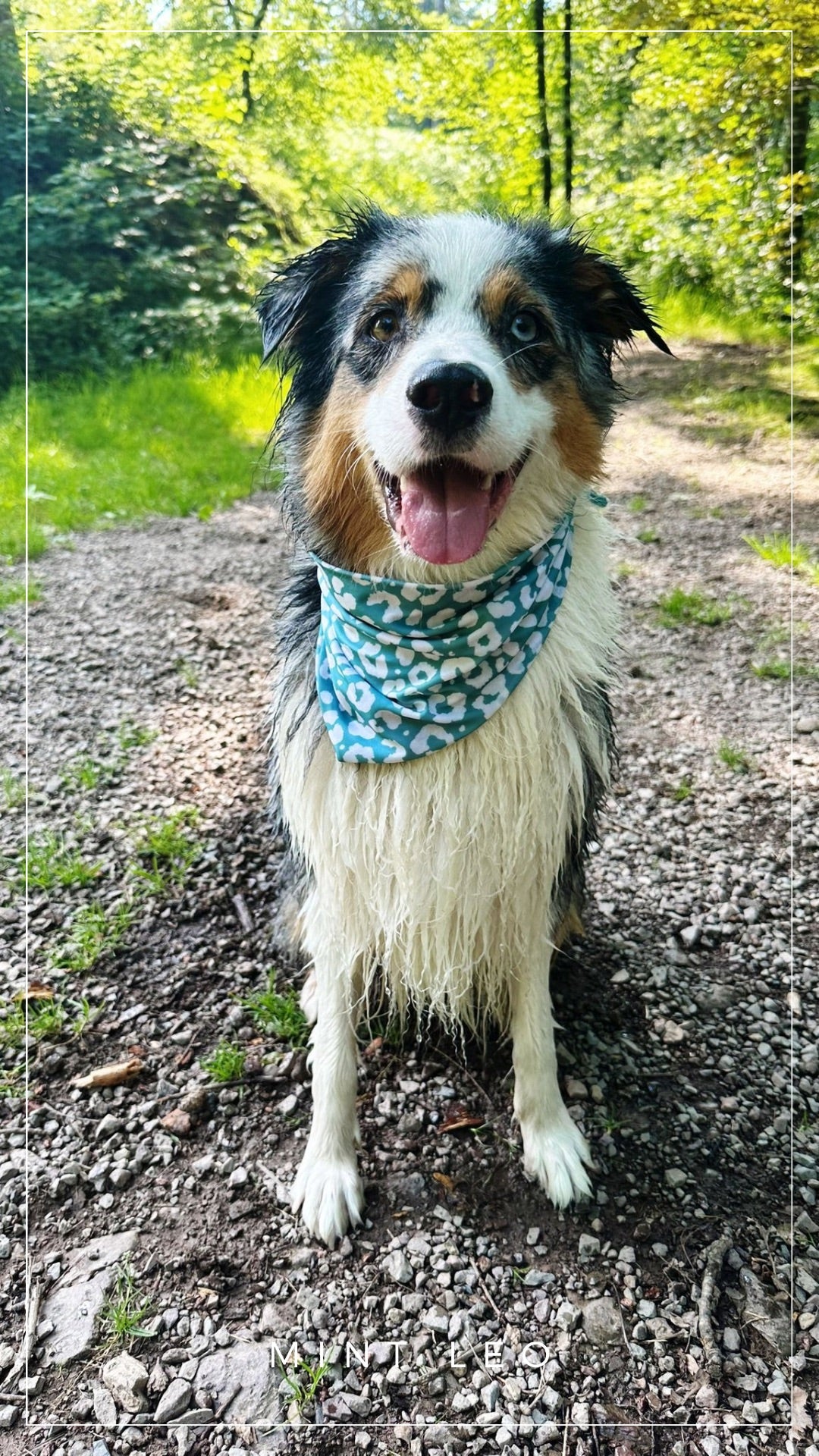 Badehalstuch Mint Leo