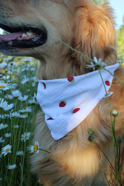 Musselin Hundehalstuch Erdbeere