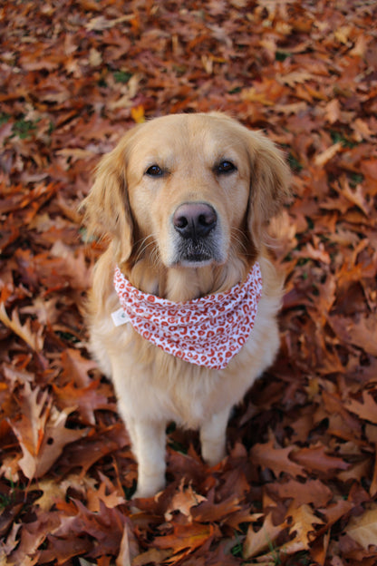 Mousseline hondenbandana bloemen roestrood
