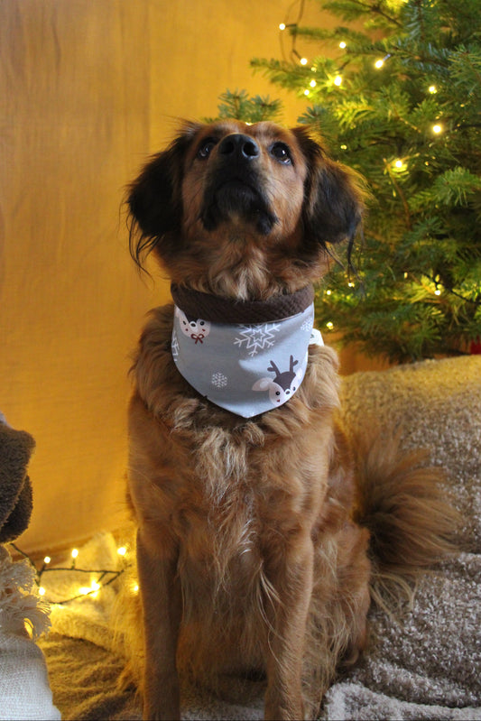 Wendehalstuch Rentiere