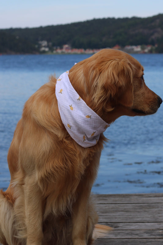 Musselin Hundehalstuch Zitrone
