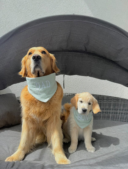 Hundehalstuch Musselin mint