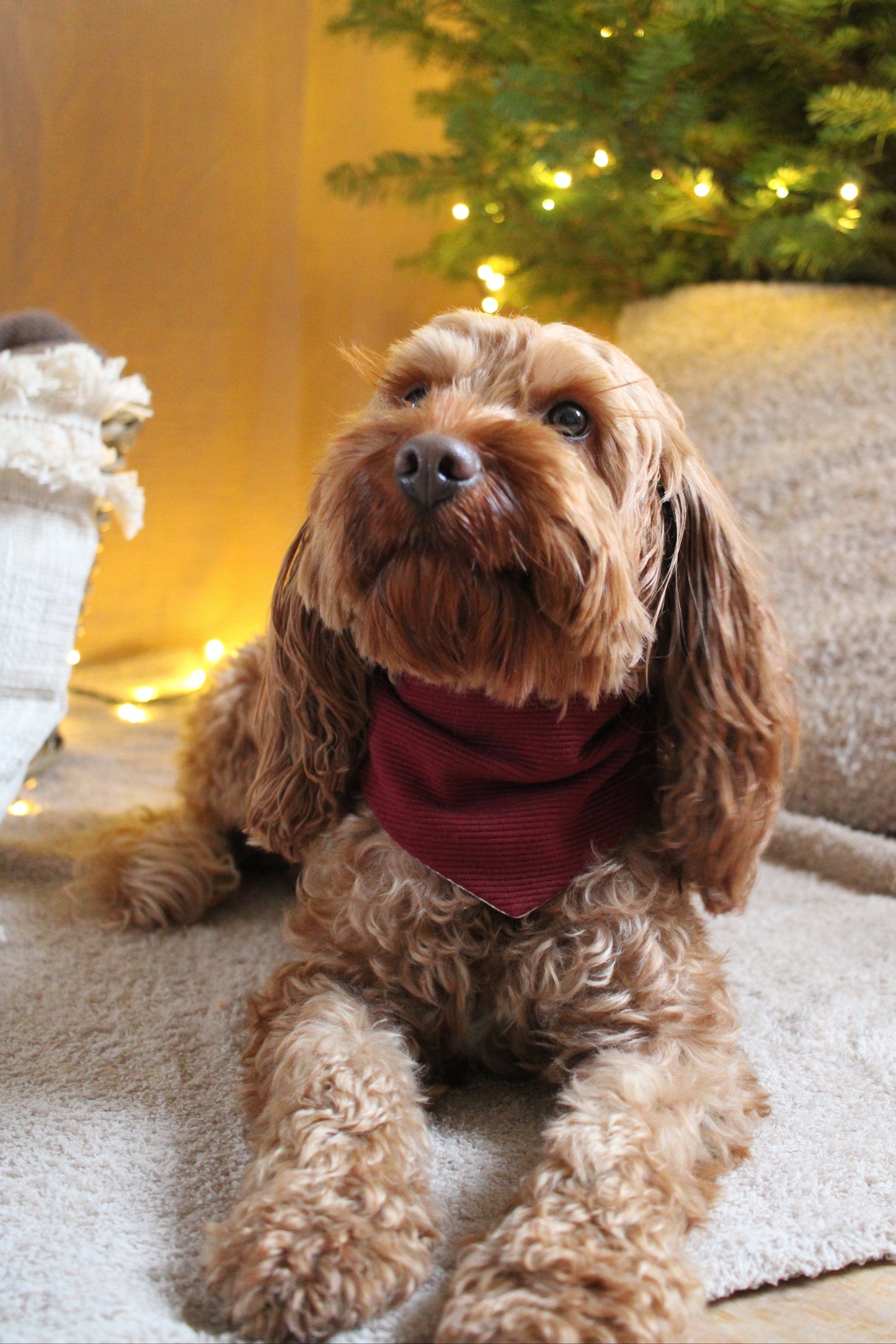 Partnerlook-Set Rib bordeaux