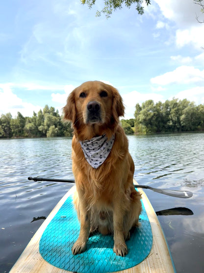 NIEUW!! Hondenzwembandana gemaakt van badstof