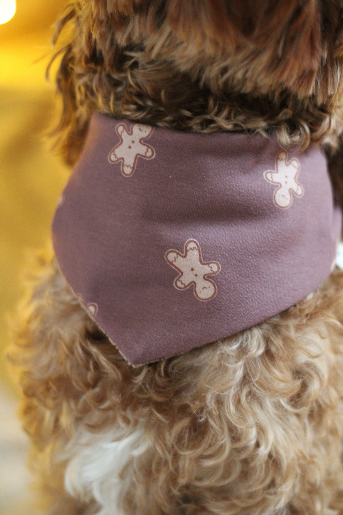 Wendehalstuch Lebkuchenmännchen