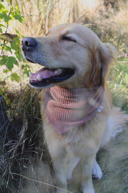 Cord Halstuch >> Winnie <<