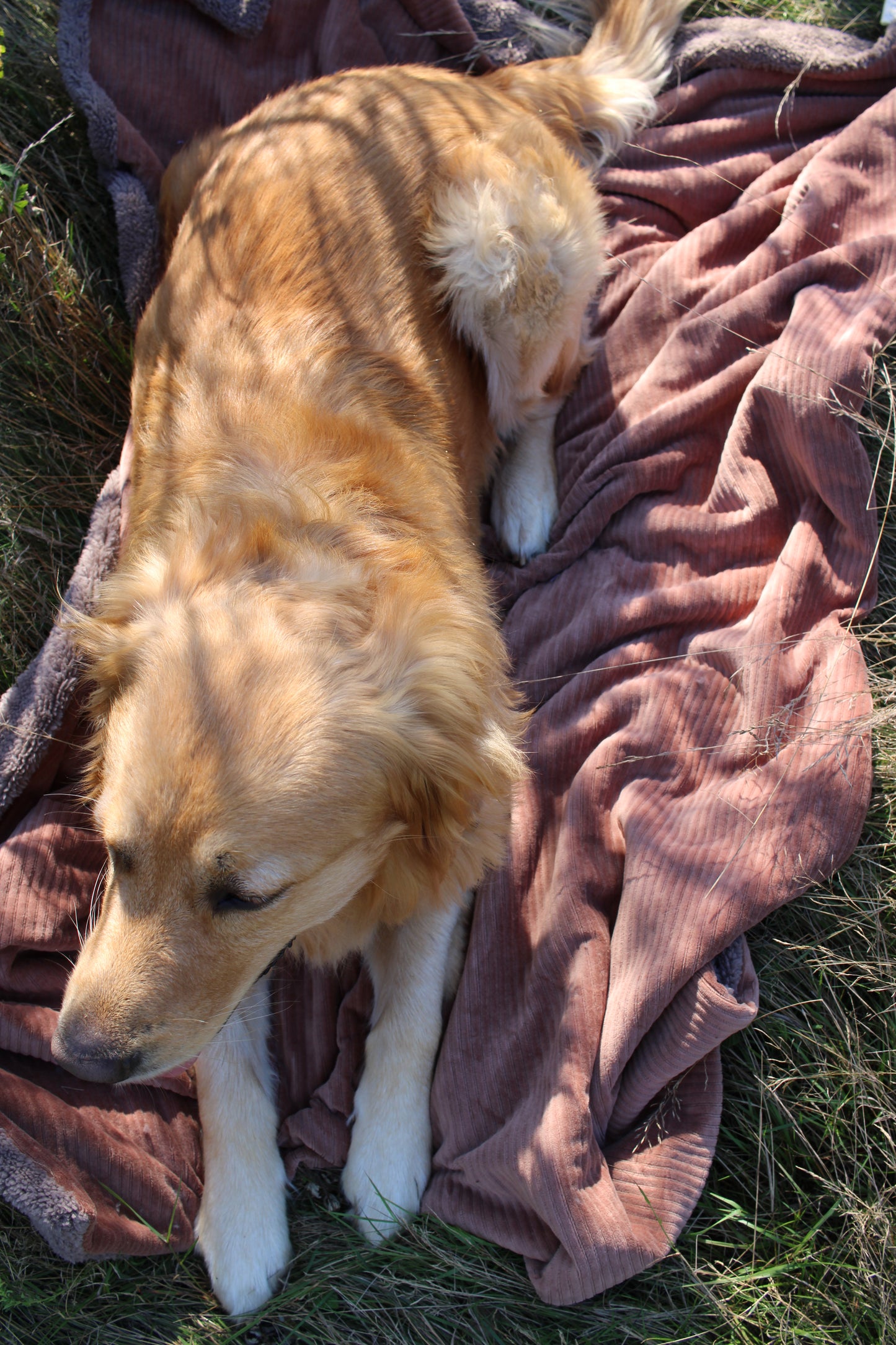 Kuschelwendedecke >> Clyde <<