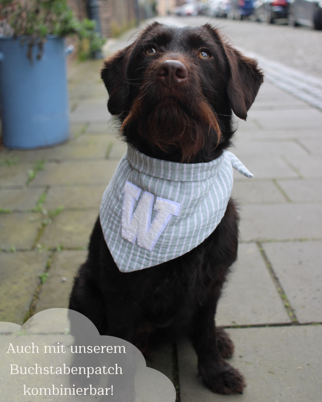 Musselin Hundehalstuch Sage Stripes