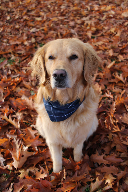 Flanellhalstuch Blue - LIMITED EDITION