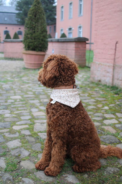 Waffelhalstuch Beige Flowerdream