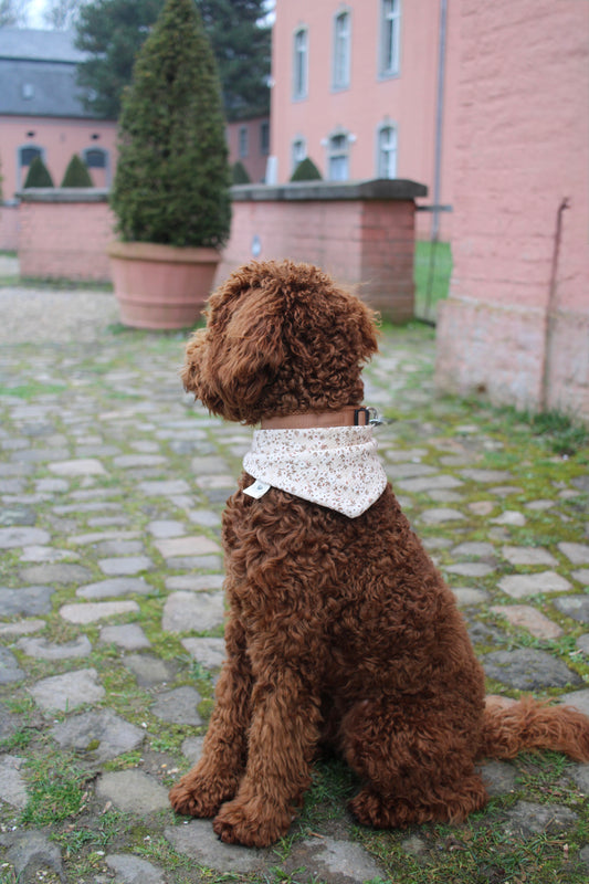 Waffelhalstuch Beige Flowerdream