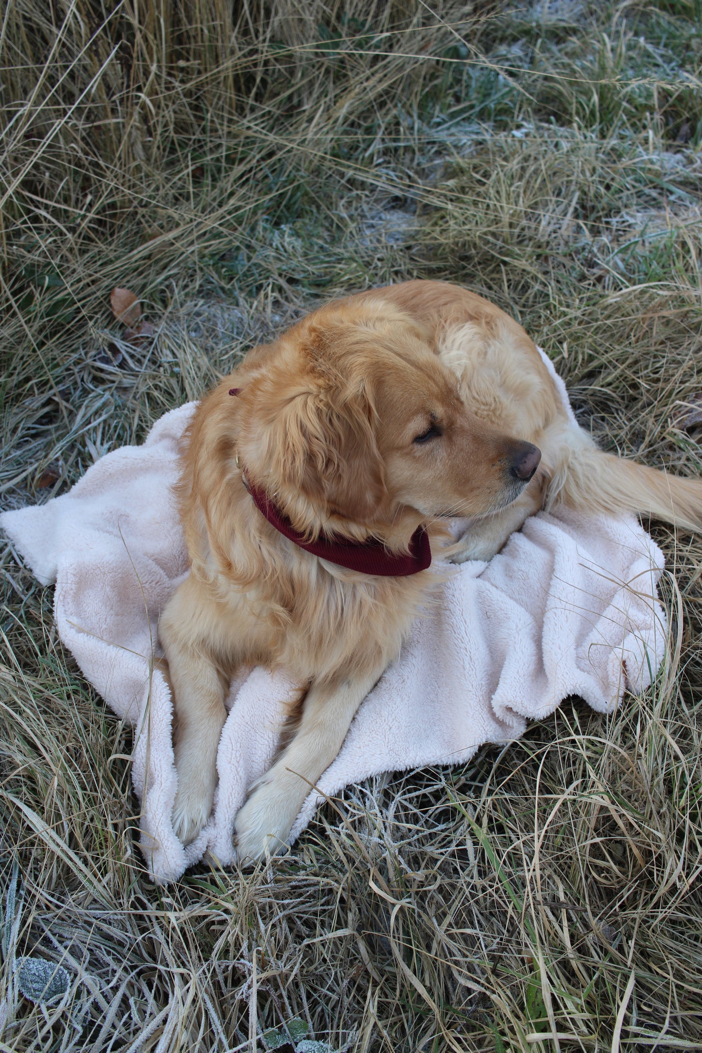 Teddykuscheldecke Ivory