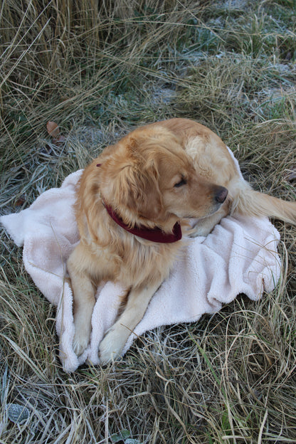 Teddykuscheldecke Ivory