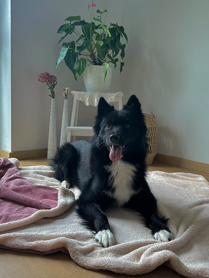 Kuschelwendedecke >> Amber <<