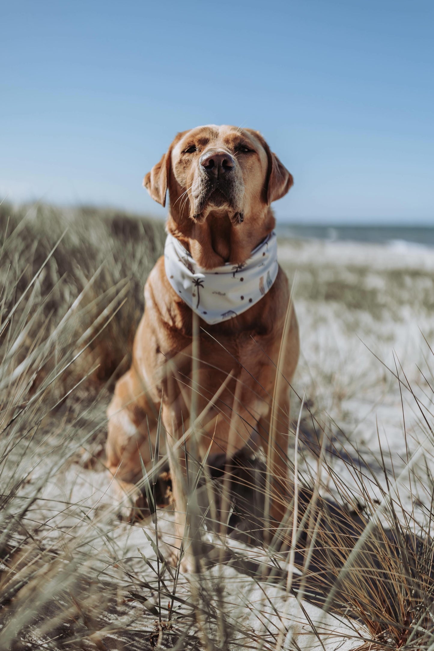 Badehalstuch Beachvibes