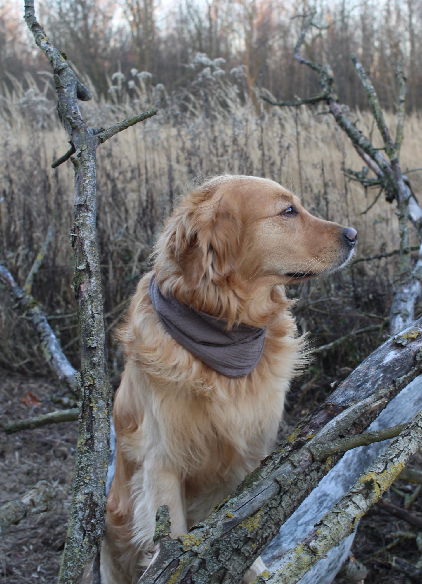 Musselin Halstuch braungrau