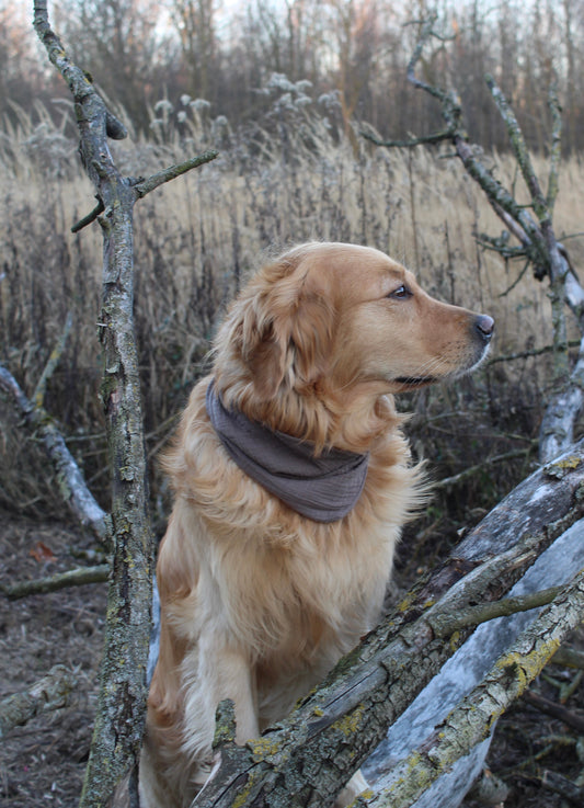 Musselin Halstuch braungrau