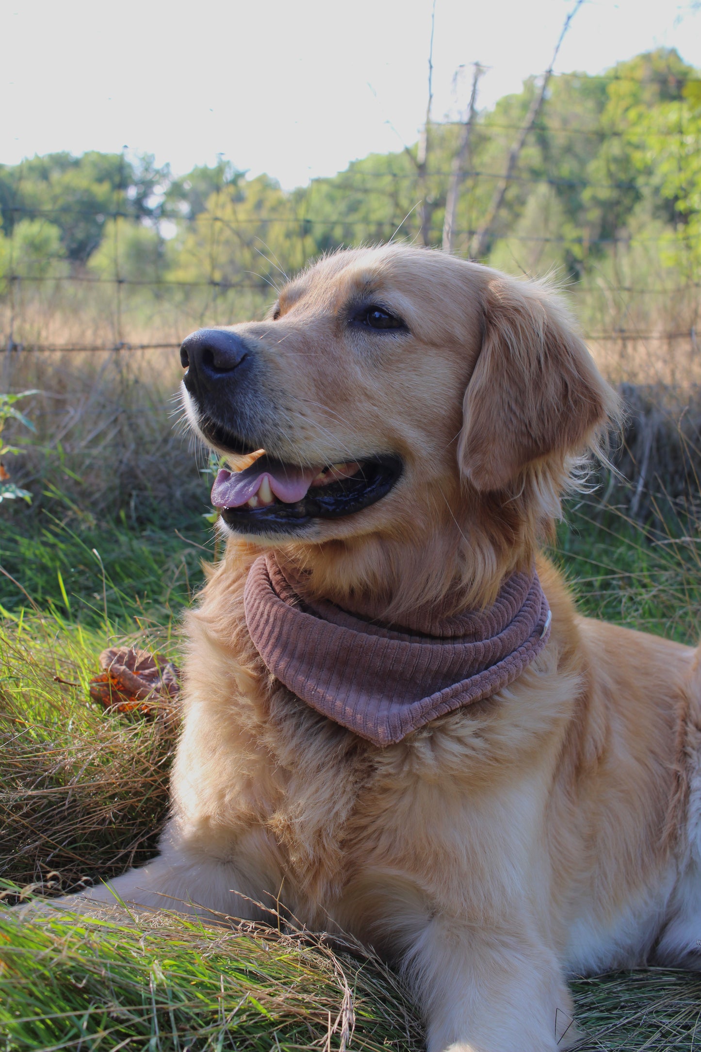 Cord Halstuch >> Winnie <<