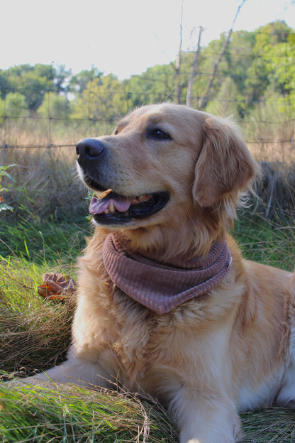 Cord Halstuch >> Winnie <<