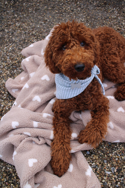 Teddykuscheldecke Herzchen