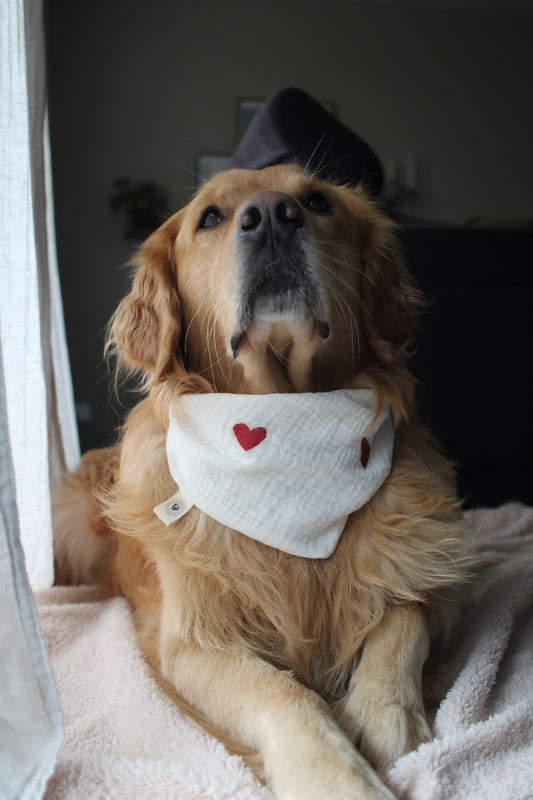Musselin Hundehalstuch Herzen