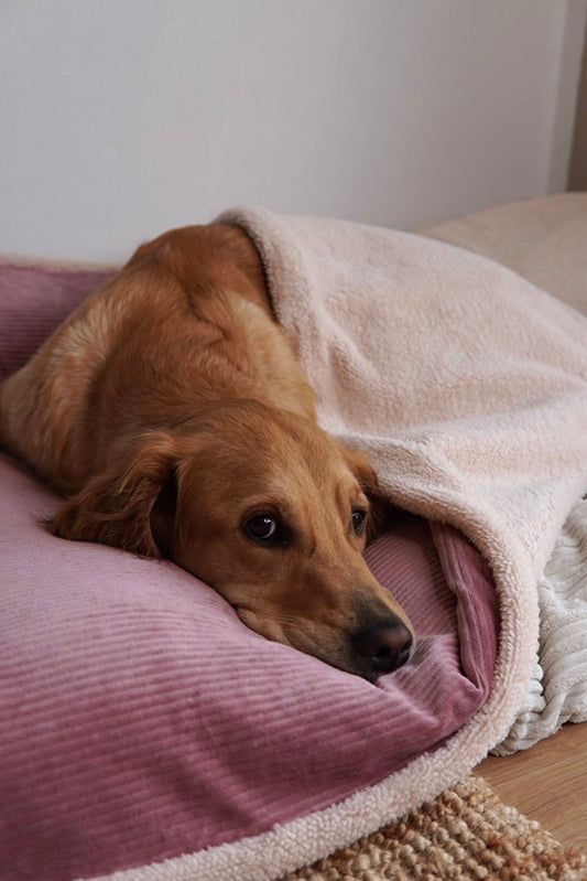 Kuschelwendedecke >> Amber <<