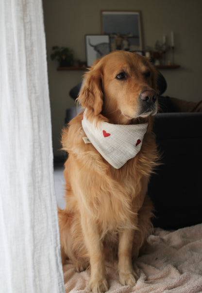 Musselin Hundehalstuch Herzen