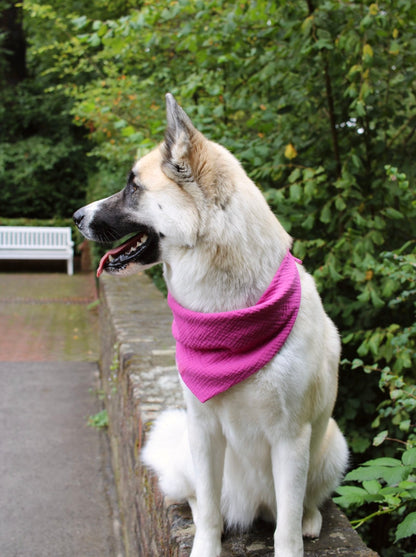 Hundehalstuch Musselin pink