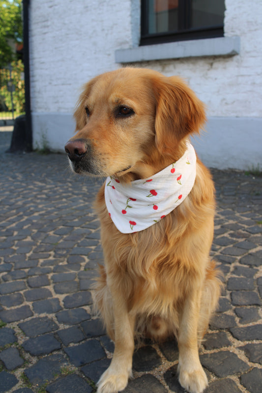 Musselin Hundehalstuch Cherry